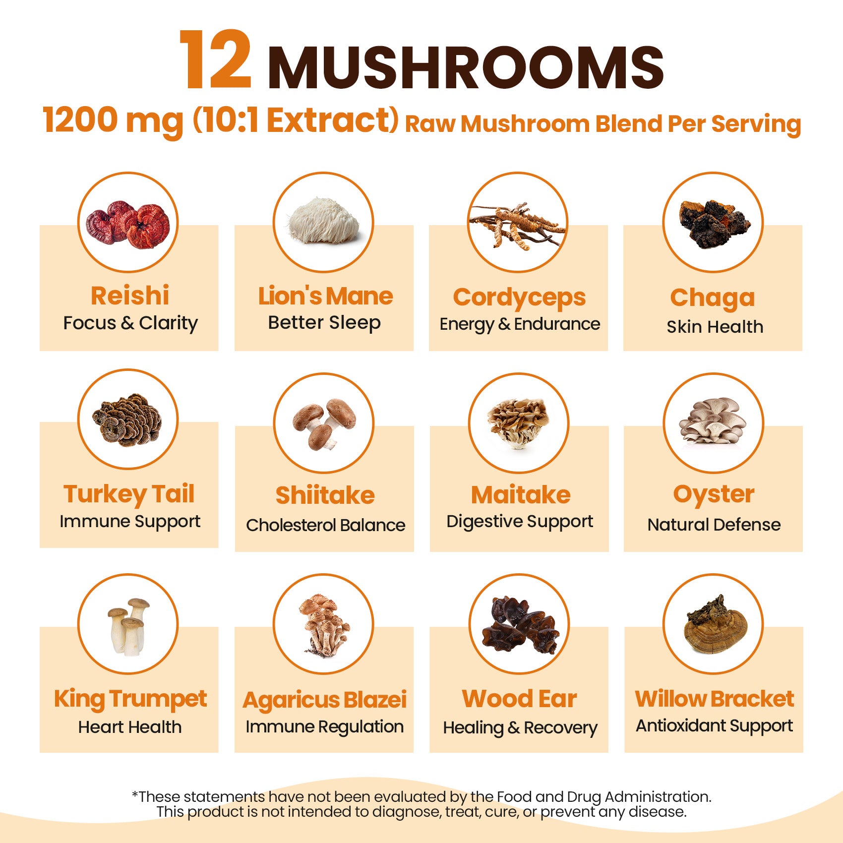 12 Mushrooms Focus Coffee - 40 Servings