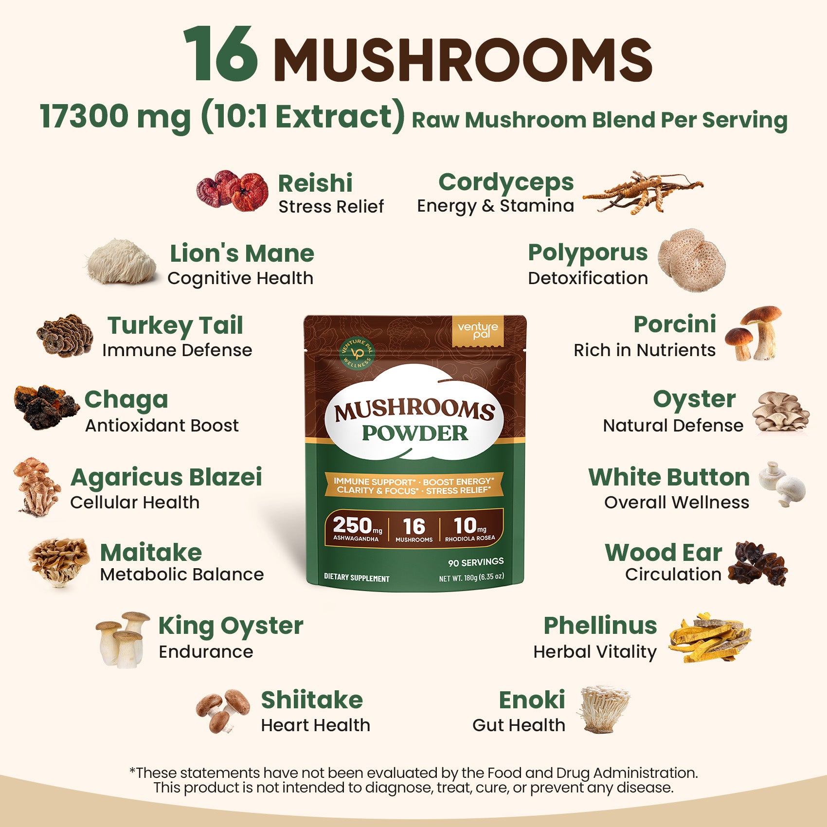16 Mushroom Adaptogen Powder - 90 Servings