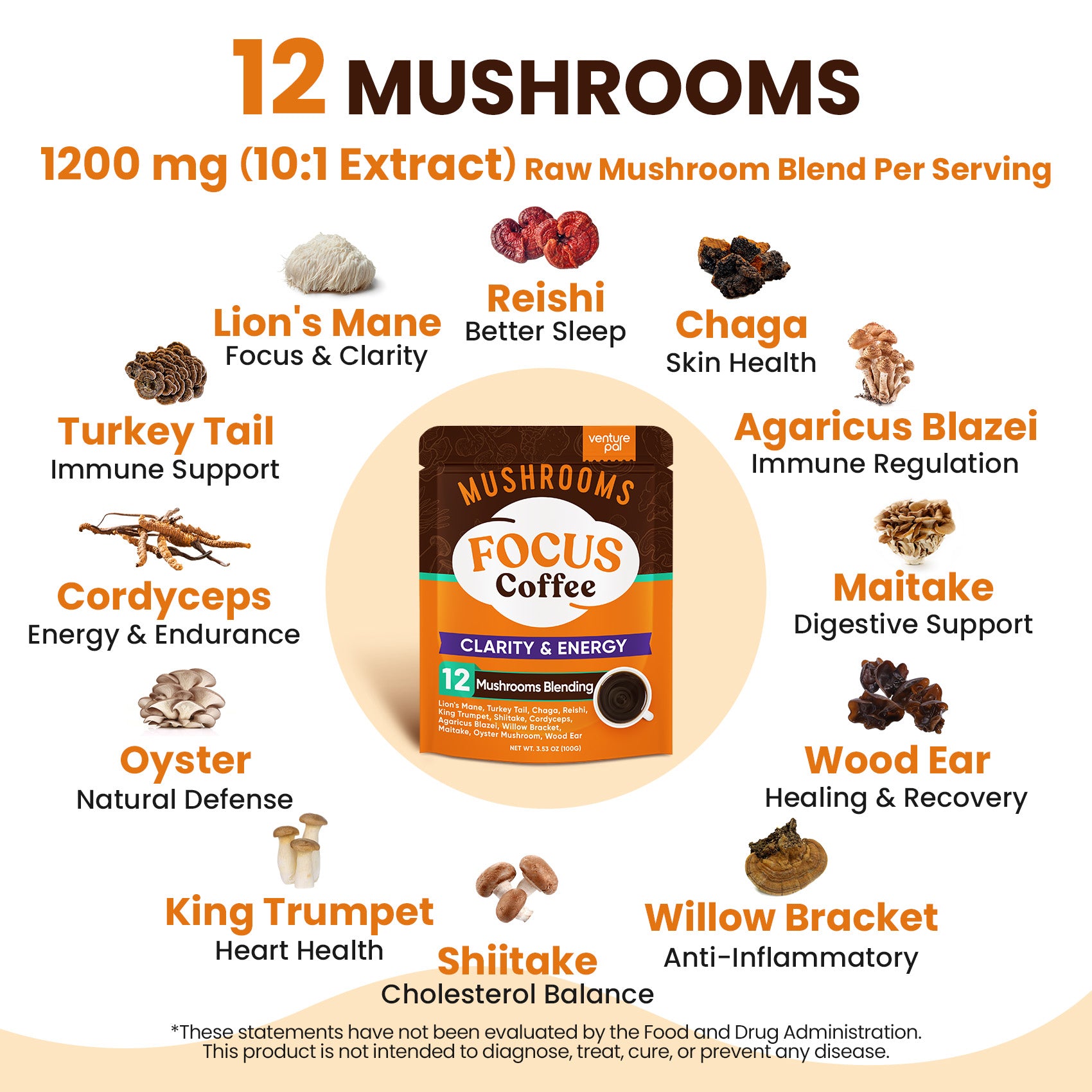 12 Mushrooms Focus Coffee - 40 Servings