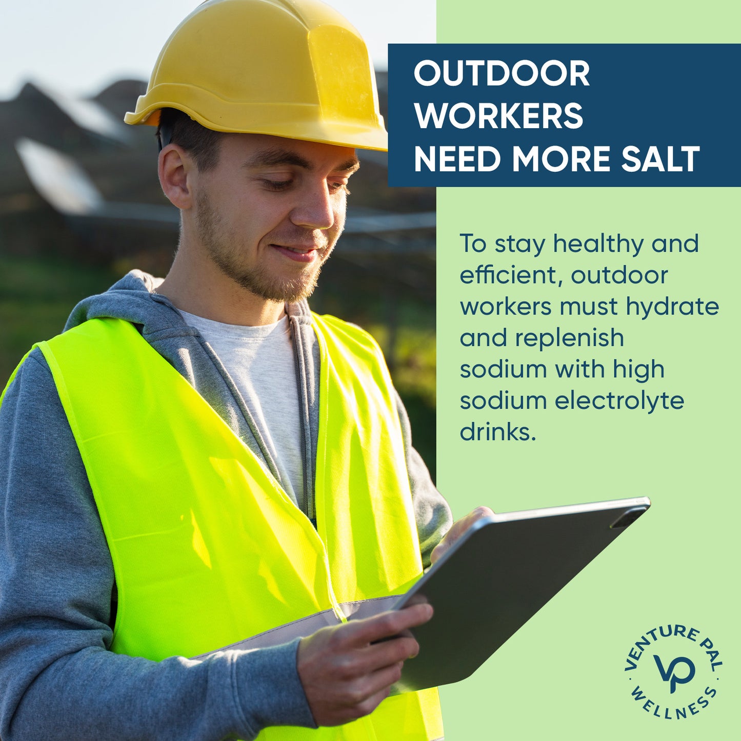 Venture Pal High Sodium Sugar Free Electrolytes Powder Packet - Lemon Lime Salt - 30 Sticks