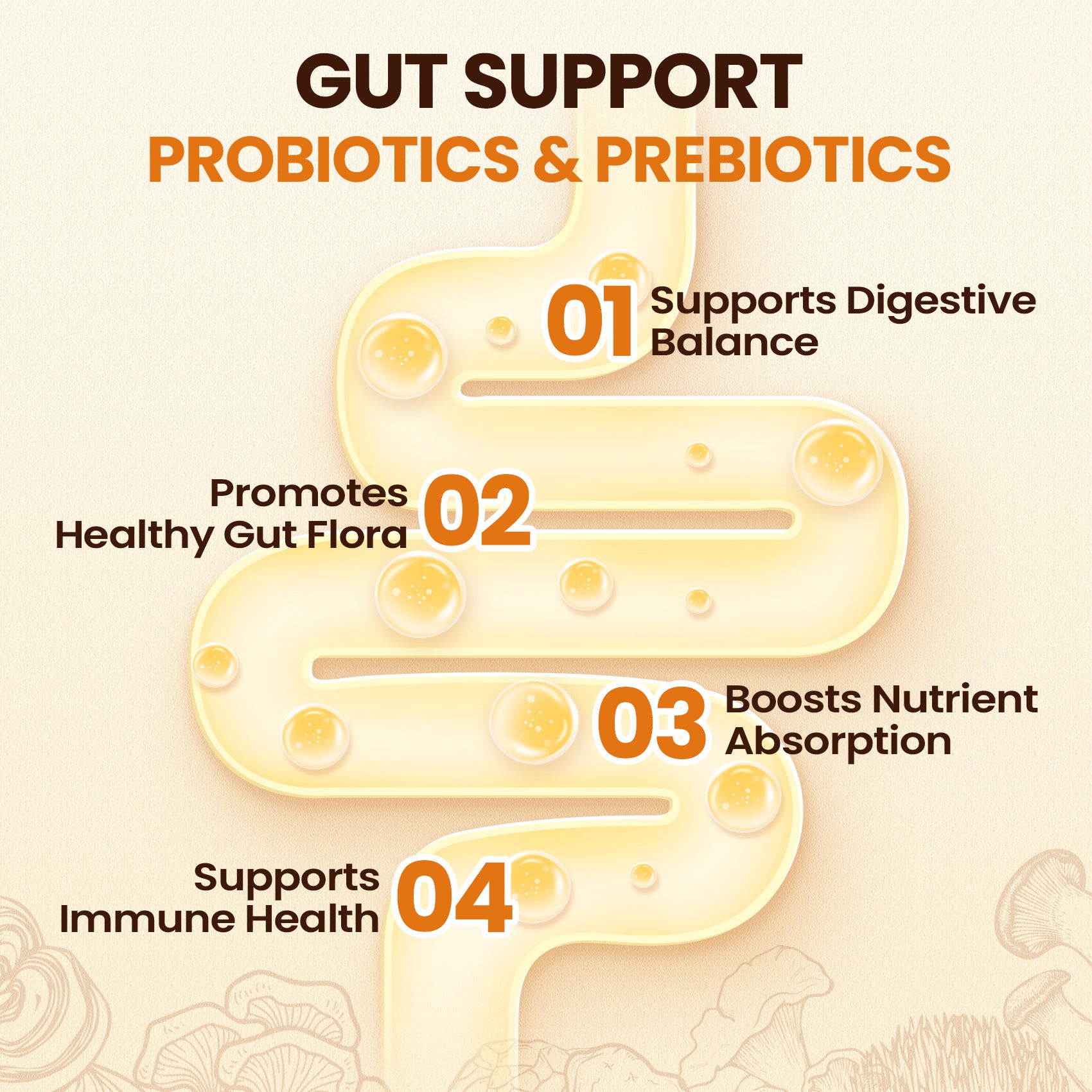 12 Mushrooms Focus Coffee - 40 Servings