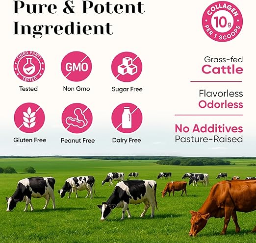 Venture Pal Multi Collagen Powder - Unflavored - 30 Servings