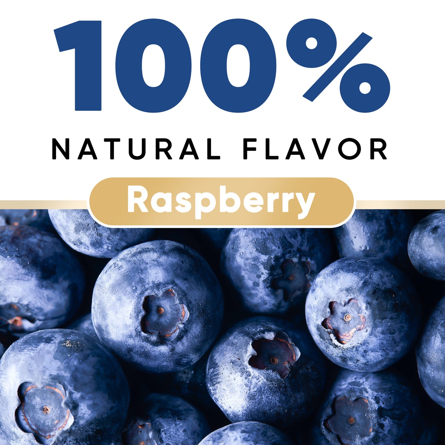 Venture Pal Biotin Gummies – Blueberry