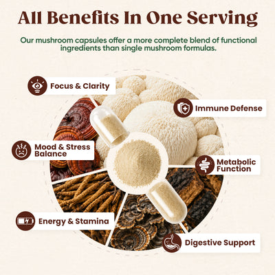 20-Mushroom Extract Capsules