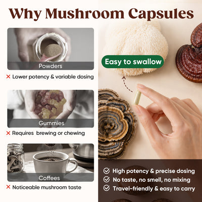 20-Mushroom Extract Capsules
