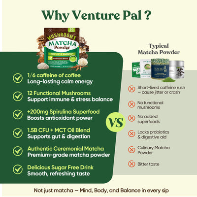 Ceremonial Grade Mushroom Matcha Powder