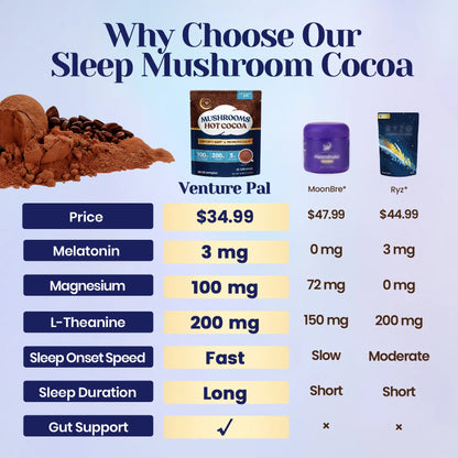Mushroom Hot Cocoa - 30 servings