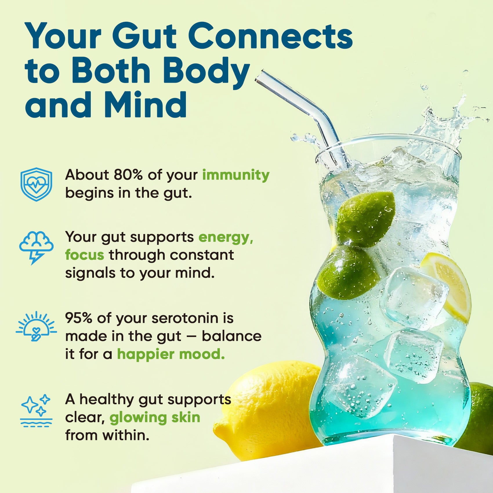 Gut Electrolyte Drink Mix