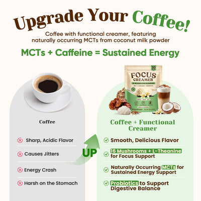 Mushroom Focus Creamer