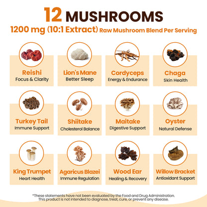 12 Mushrooms Focus Coffee - 40 Servings