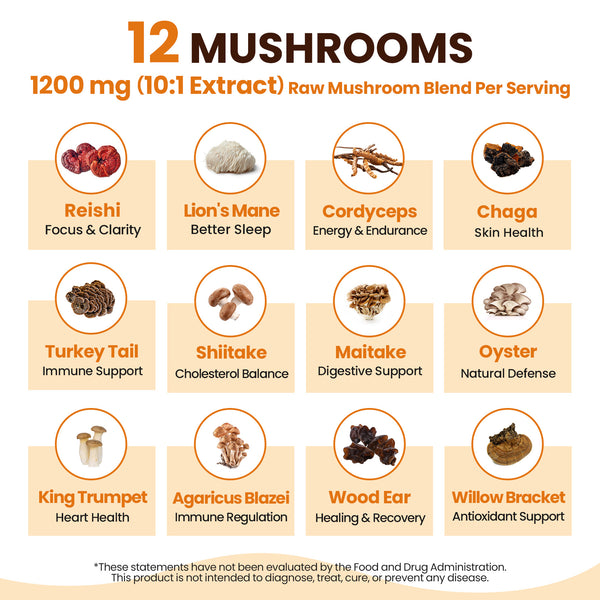 12 Mushrooms Focus Coffee - 40 Servings