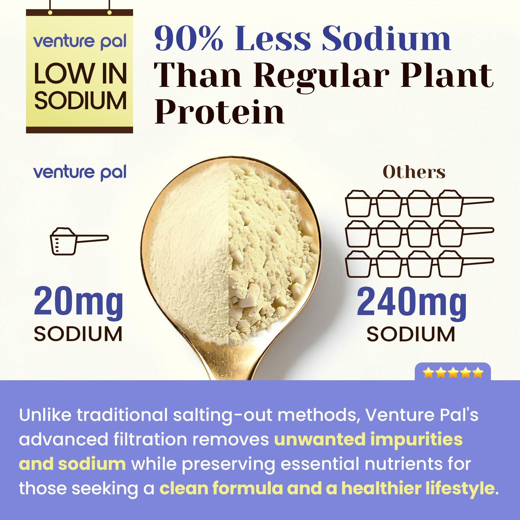 Plant Based Protein Powder