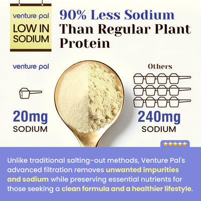 Plant Based Protein Powder