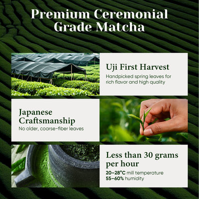 Ceremonial Grade Matcha Powder