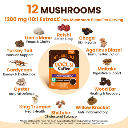 12 Mushrooms Focus Coffee - 40 Servings