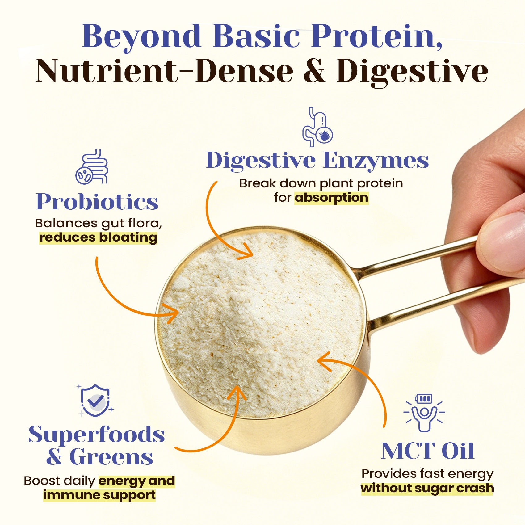 Plant Based Protein Powder