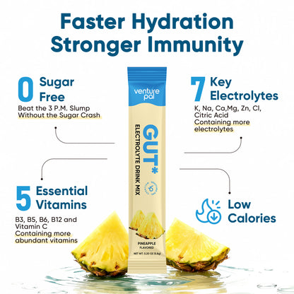 Gut Electrolyte Drink Mix - Pineapple