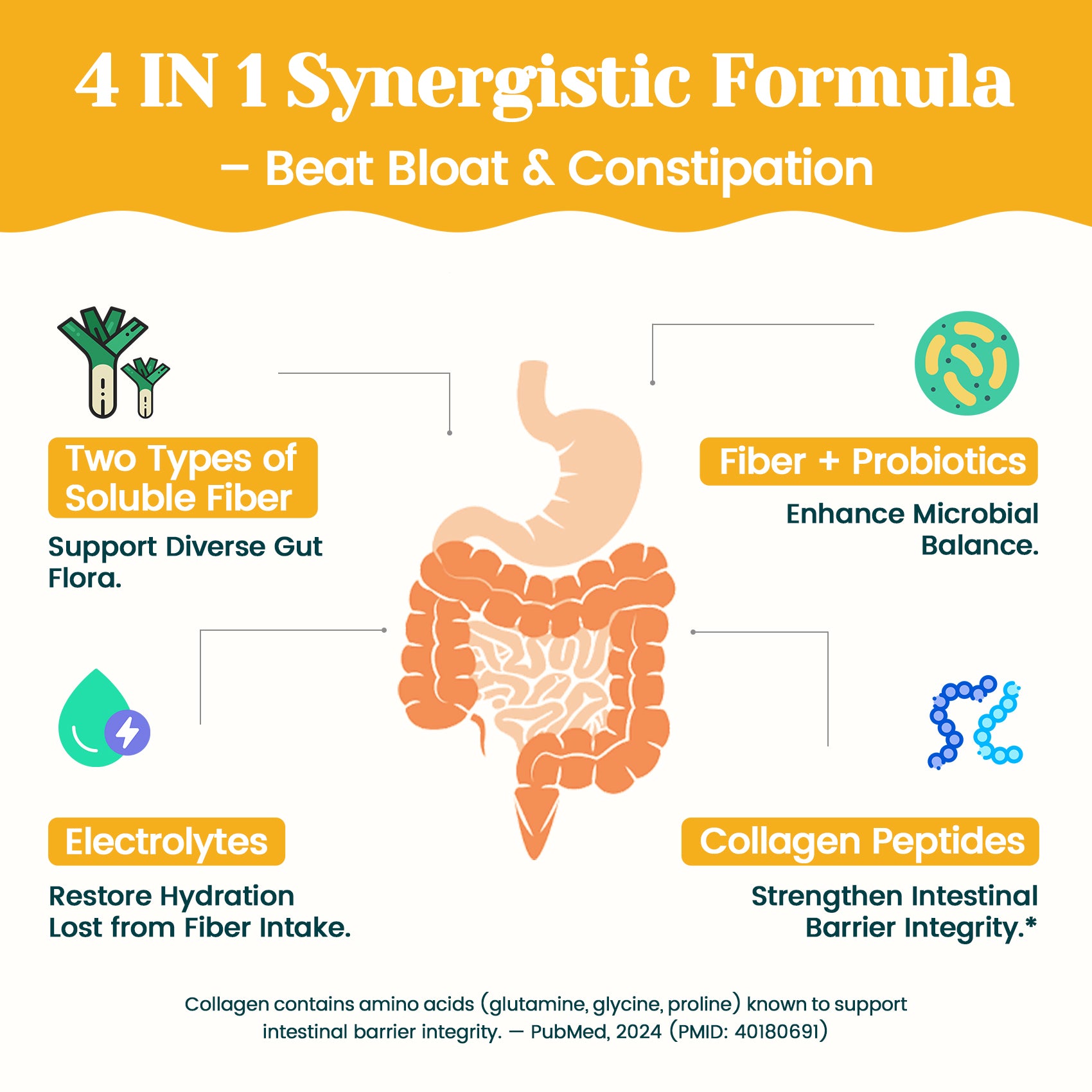 4-in-1 Fiber Supplement - Fruit Punch