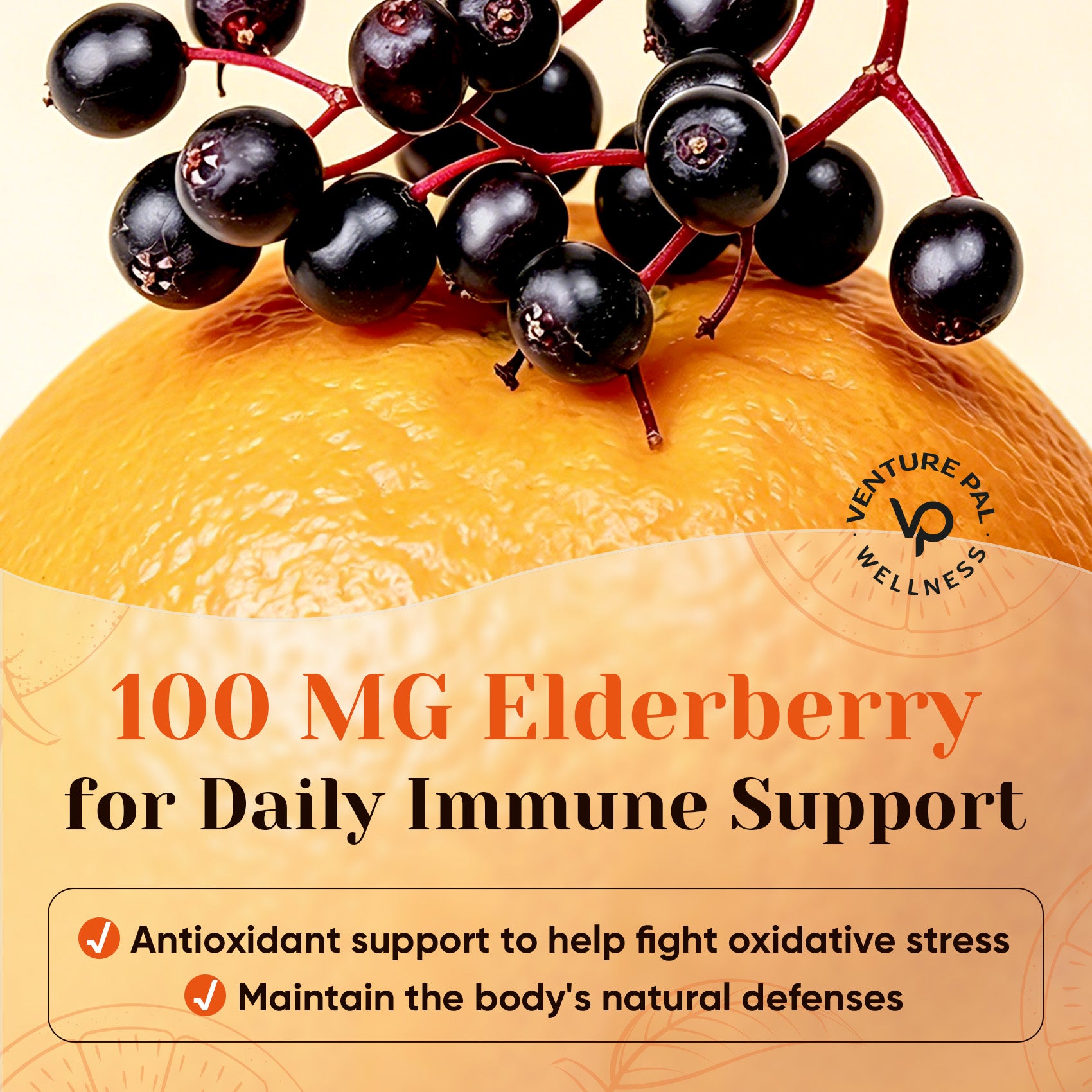 1000 MG Vitamin C Powder
