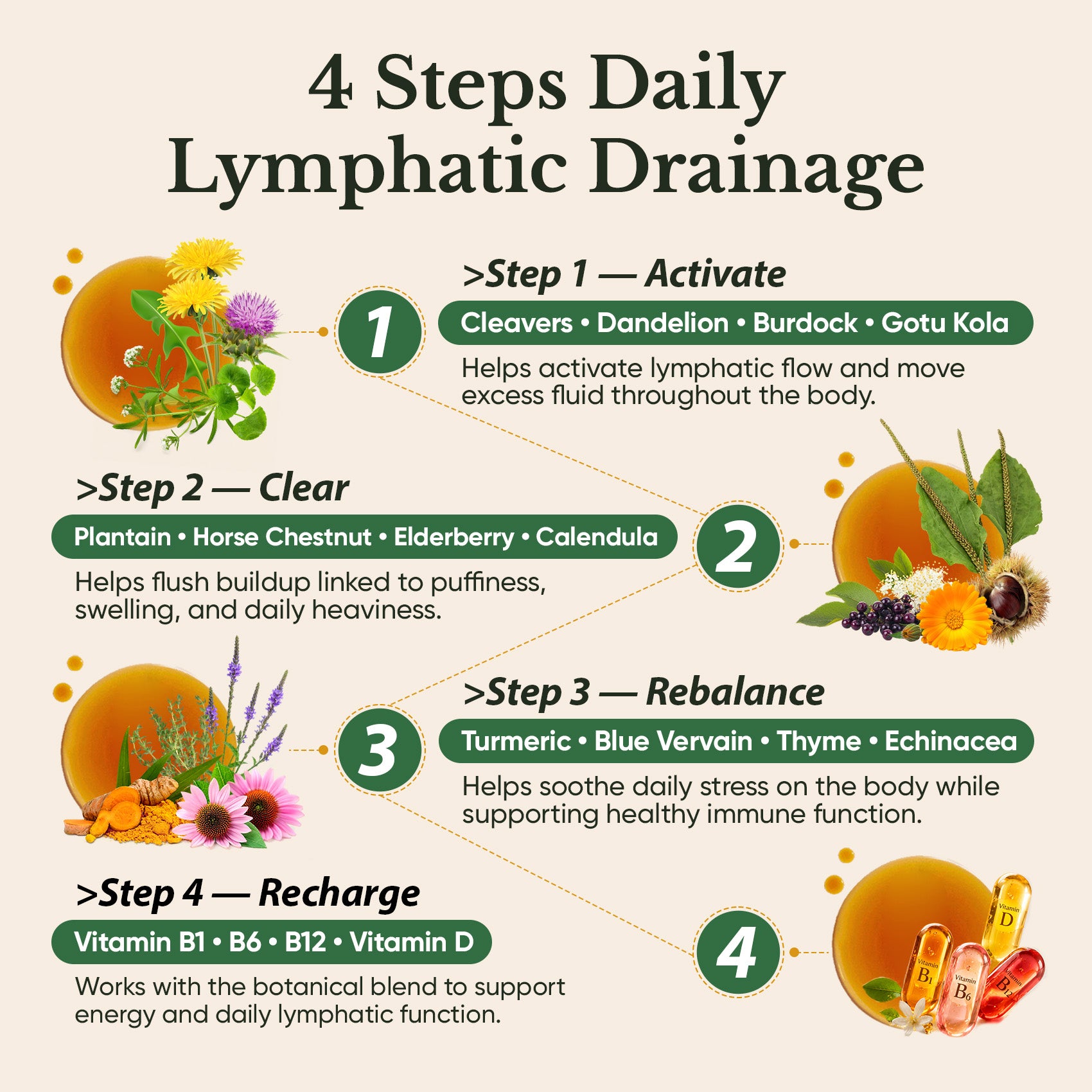 Lymphatic Drainage Drops