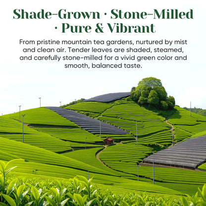 Ceremonial Grade Matcha Powder - 30g/1.06oz