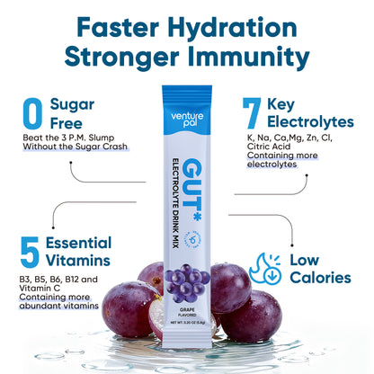 Gut Electrolyte Drink Mix - Grape