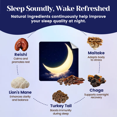 Mushroom Sleep Hot Cocoa - 30 servings