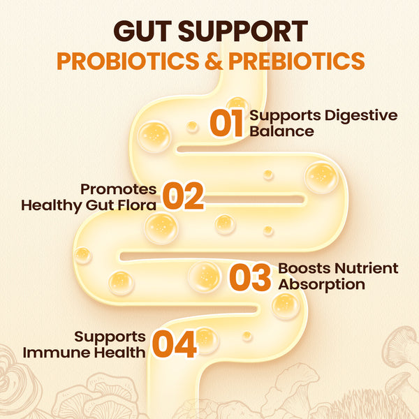 12 Mushrooms Focus Coffee - 40 Servings