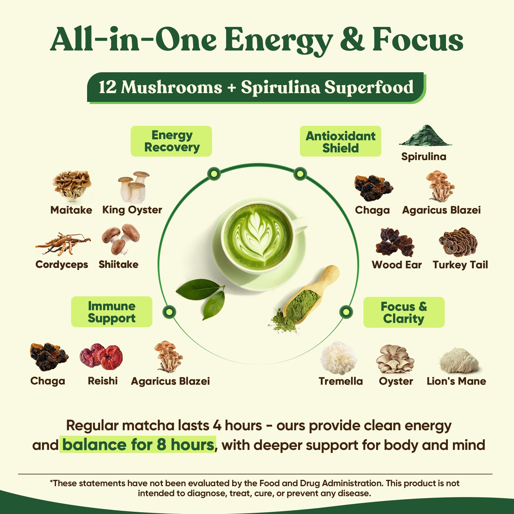 Ceremonial Grade Mushroom Matcha Powder