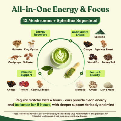 Ceremonial Grade Mushroom Matcha Powder