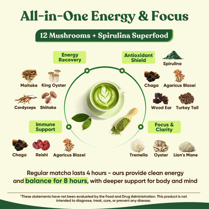 Ceremonial Grade Mushroom Matcha Powder