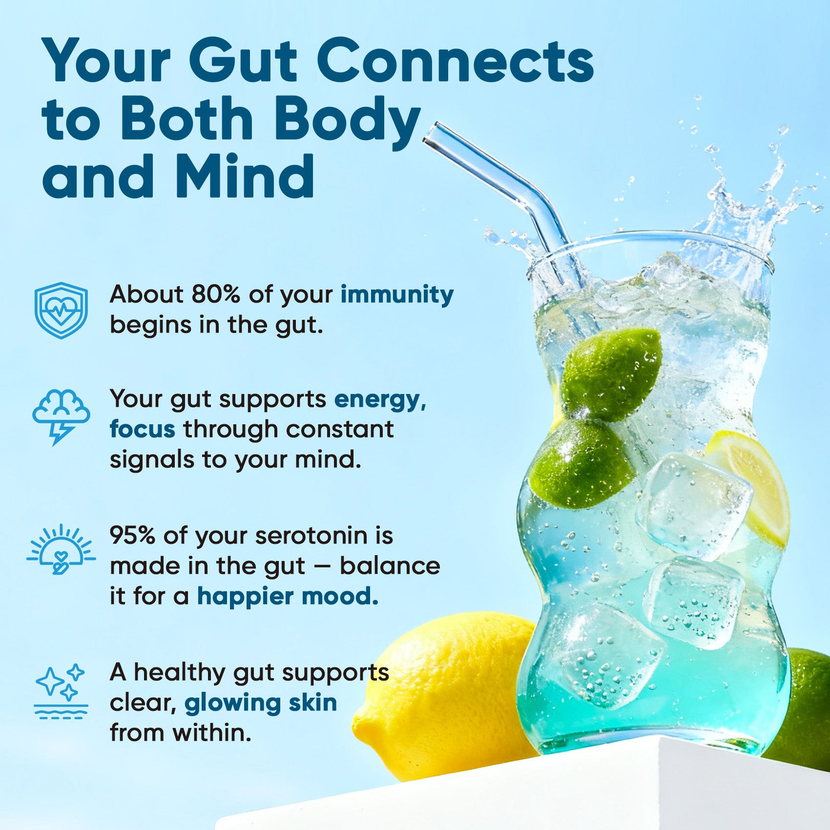 Gut Electrolyte Drink Mix - Variety Pack