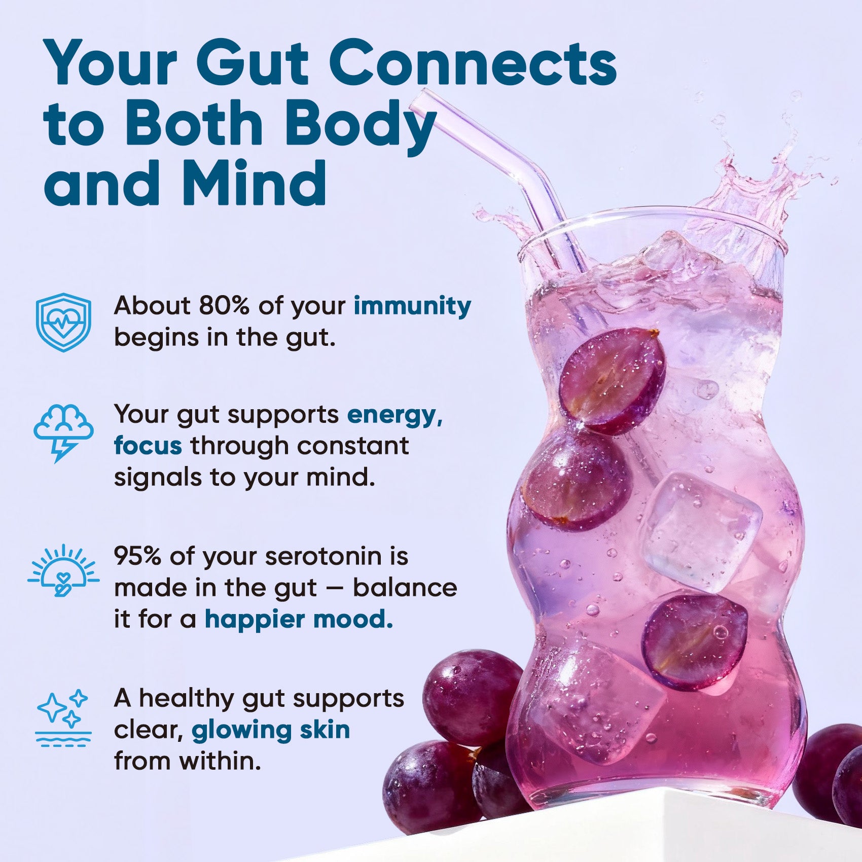 Gut Electrolyte Drink Mix - Grape