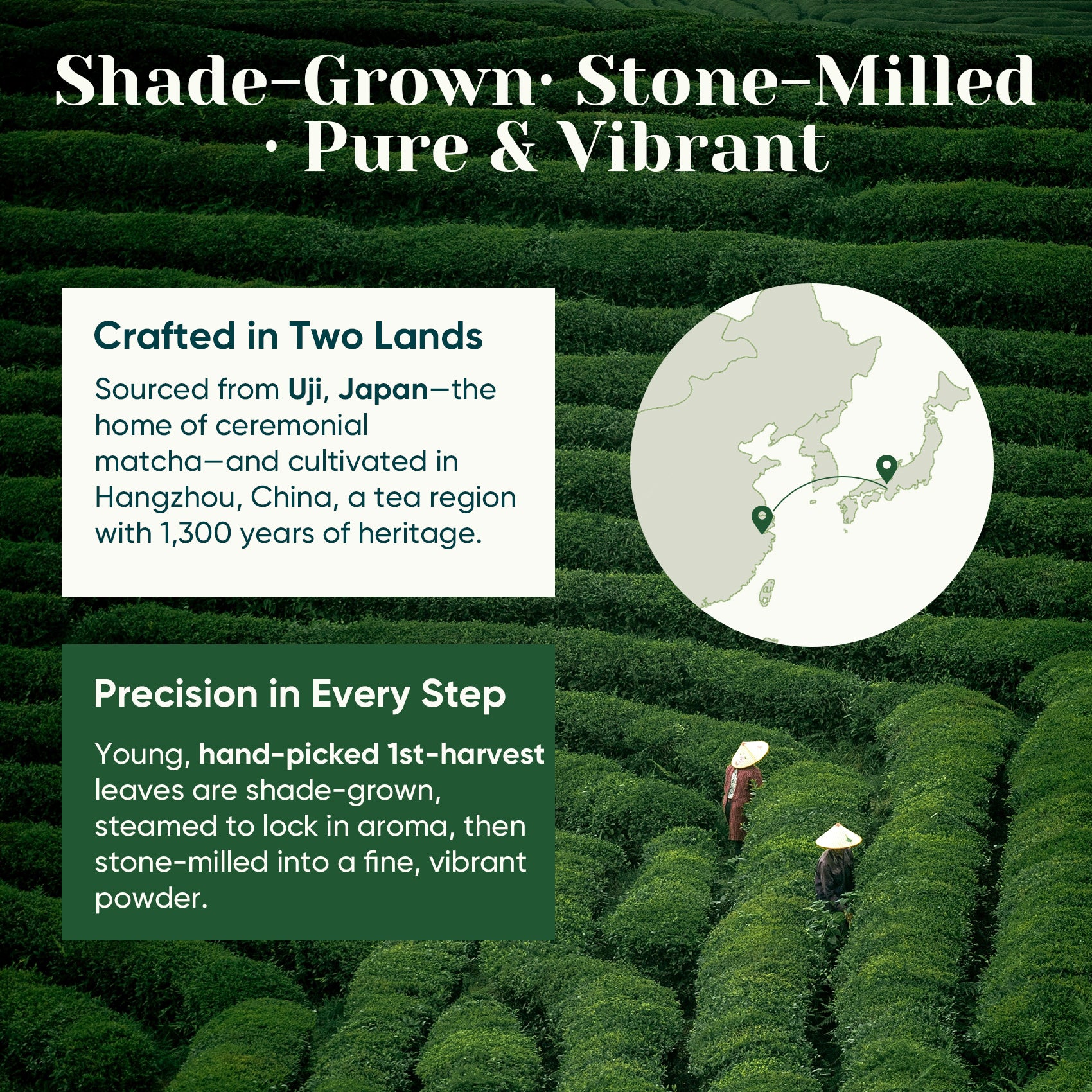 Ceremonial Grade Matcha Powder