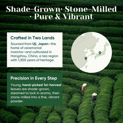 Ceremonial Grade Matcha Powder