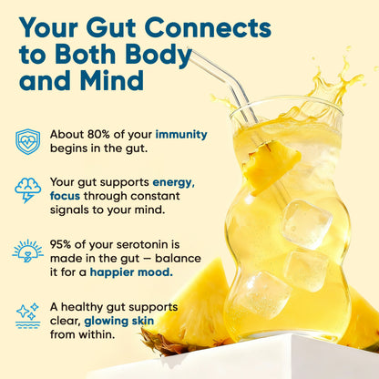 Gut Electrolyte Drink Mix - Pineapple
