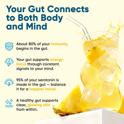 Gut Electrolyte Drink Mix