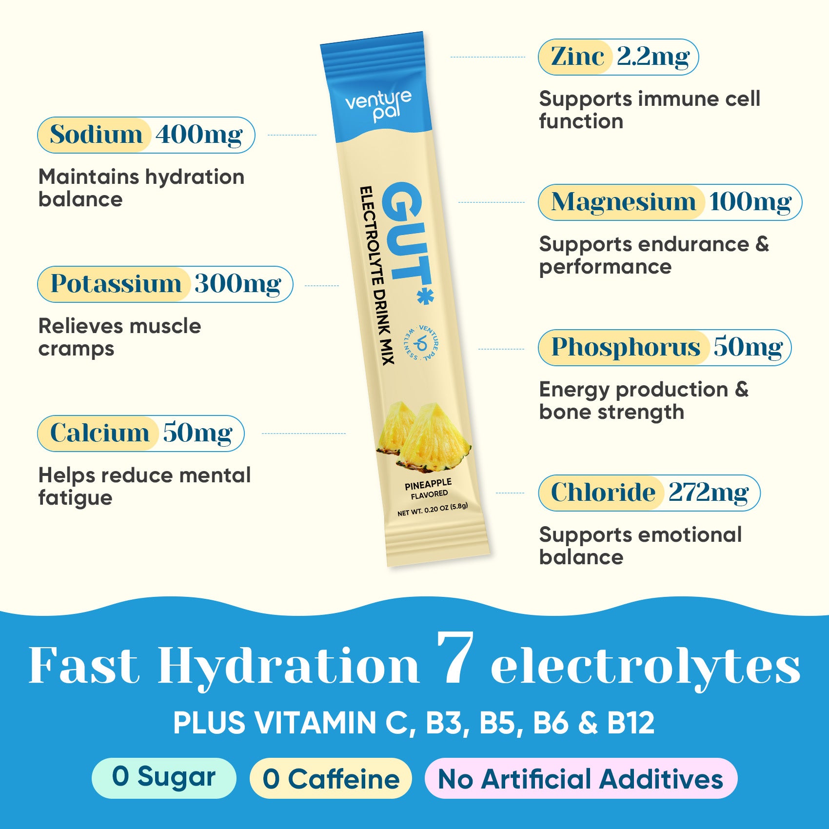 Gut Electrolyte Drink Mix