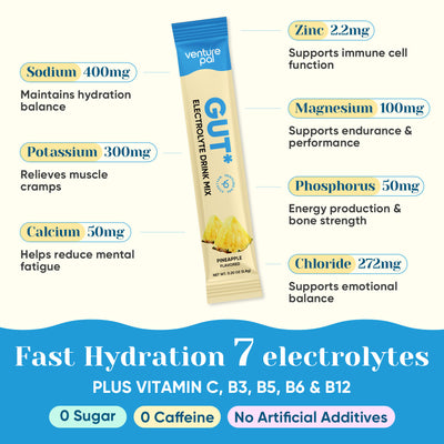 Gut Electrolyte Drink Mix