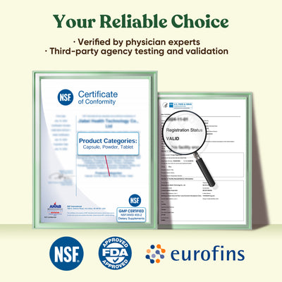 Ceremonial Grade Mushroom Matcha Powder