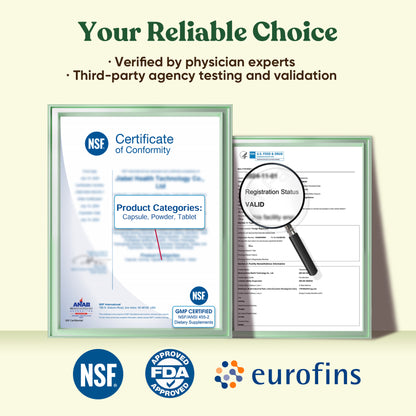 Ceremonial Grade Mushroom Matcha Powder