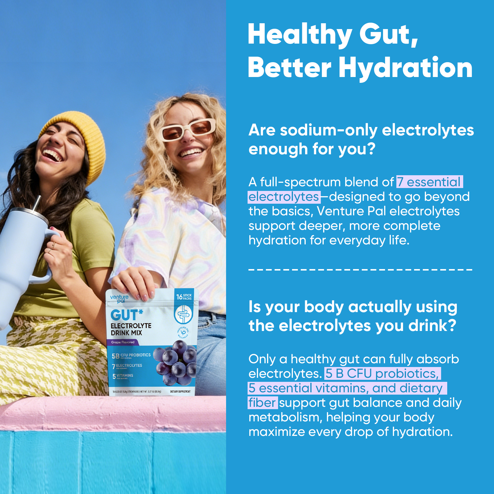 Gut Electrolyte Drink Mix - Grape