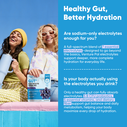 Gut Electrolyte Drink Mix - Grape