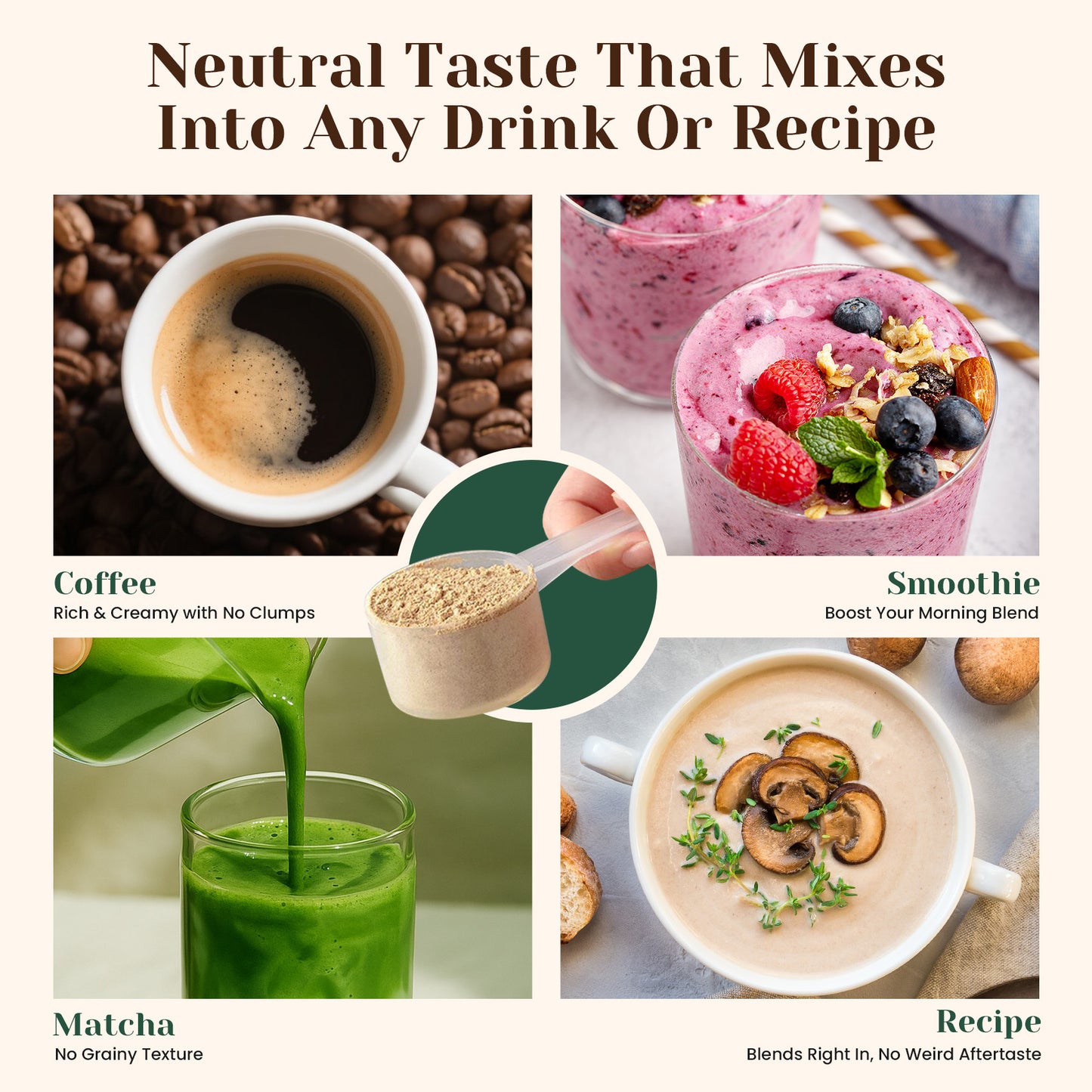 Venture Pal 16 Mushroom Adaptogen Powder - 90 Servings