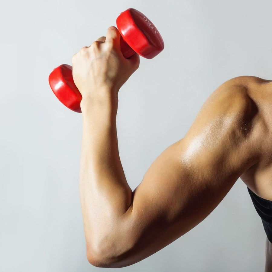 After using Venture Pal women's creatine for muscle training