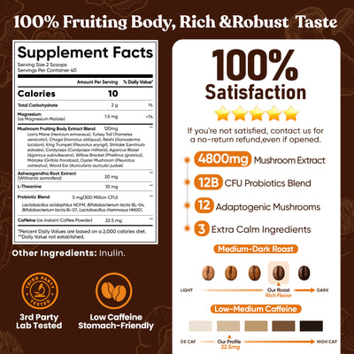12 Mushrooms Focus Coffee - 40 Servings