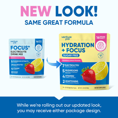 Focus Electrolyte Drink Mix