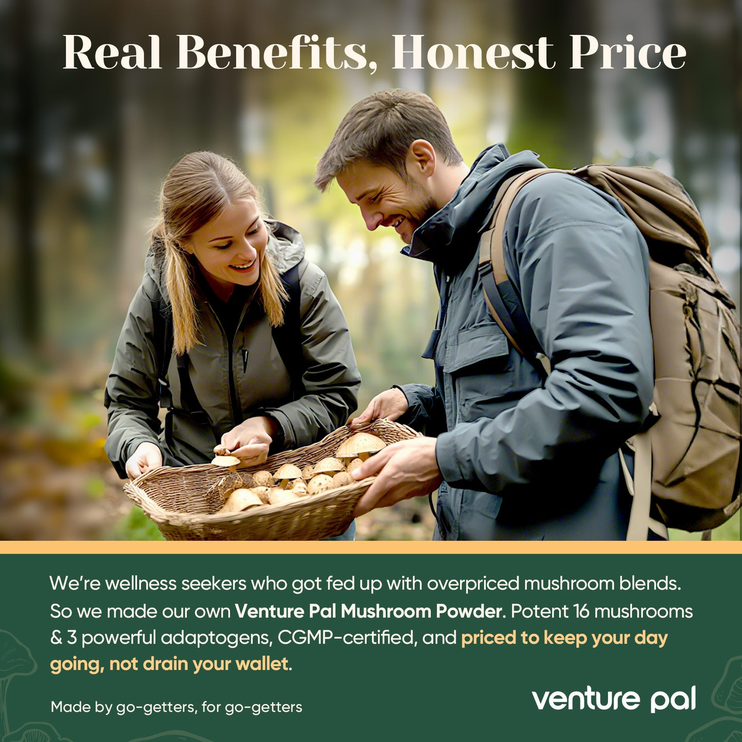 Venture Pal 16 Mushroom Adaptogen Powder - 90 Servings