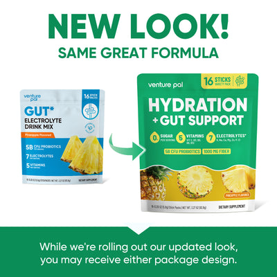 Gut Electrolyte Drink Mix