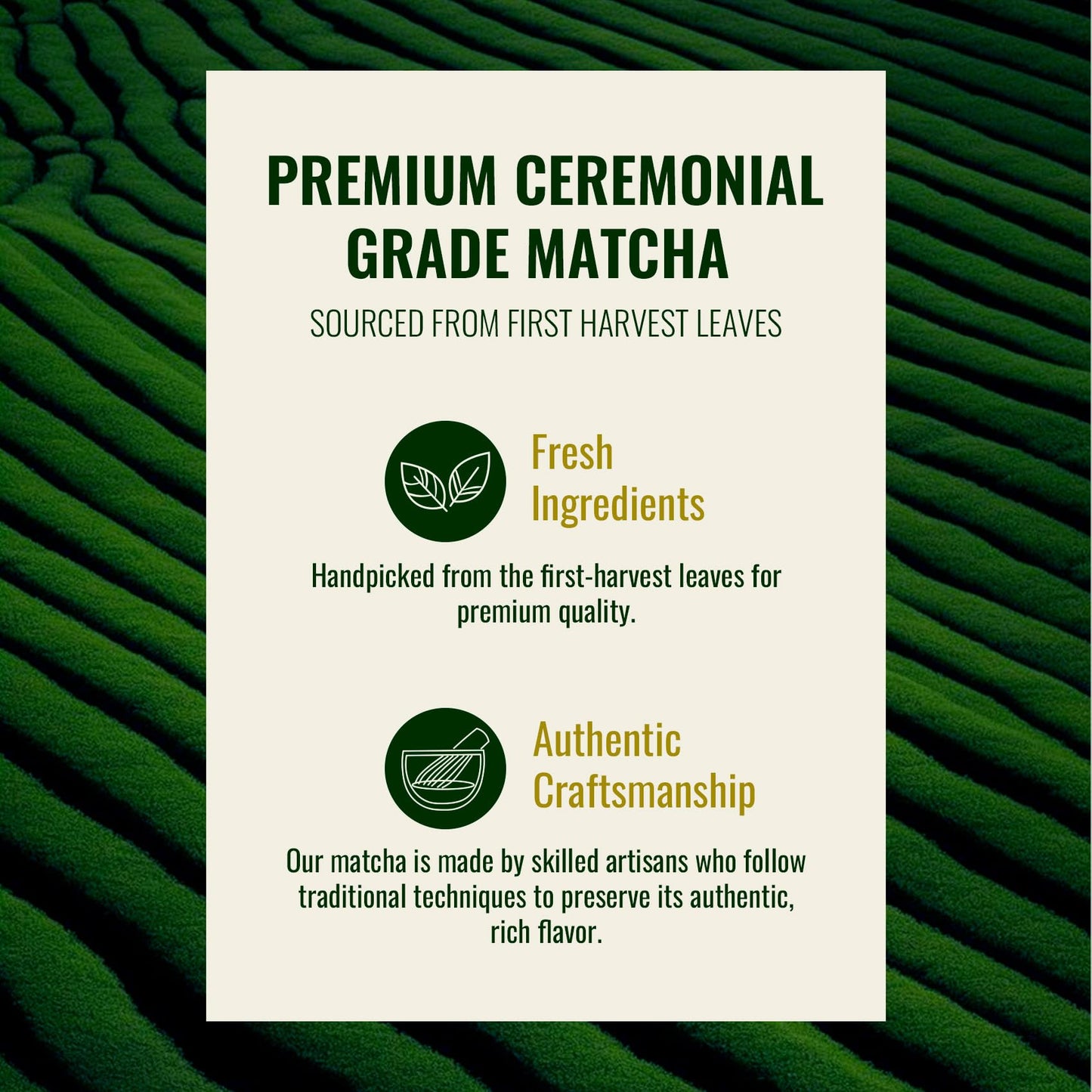 Venture Pal Ceremonial Grade Matcha Powder - 30g/1.06oz
